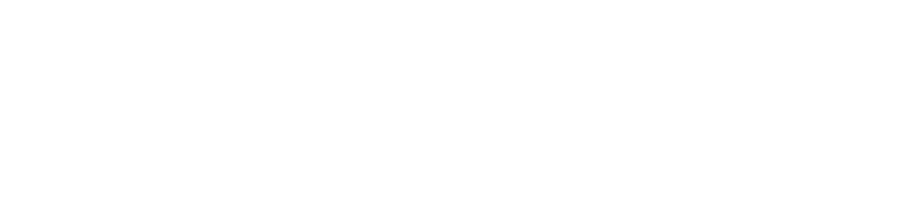 IBSProjects PVT LTD - Your Vision, Our Skills